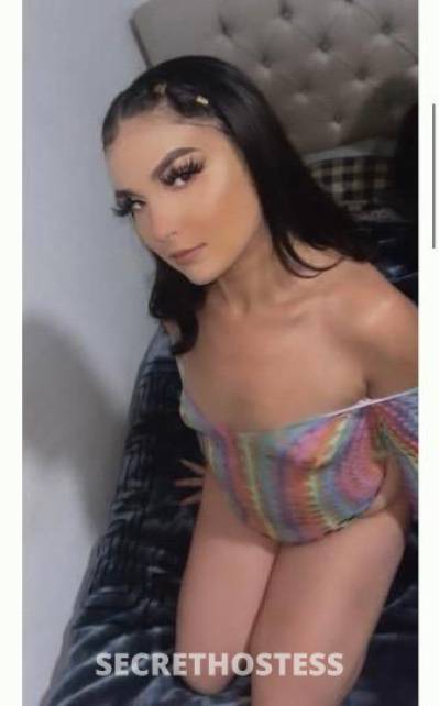 25Yrs Old Escort Oakland CA Image - 1