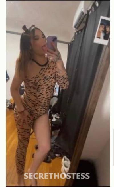 25Yrs Old Escort Oakland CA Image - 3