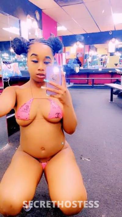 Bambi 21Yrs Old Escort Houston TX Image - 2