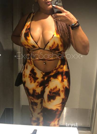 Sasha Foxx 20Yrs Old Escort Size 8 169CM Tall Minneapolis MN Image - 4