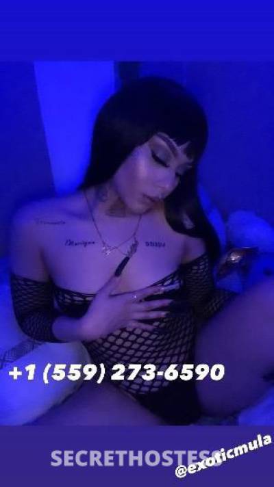 24Yrs Old Escort Fresno CA Image - 2