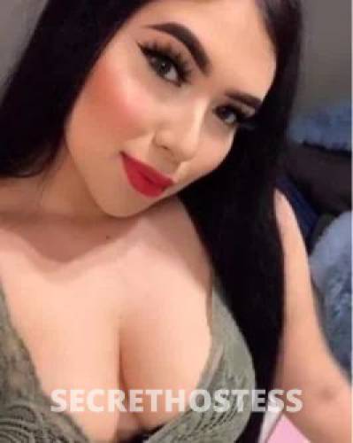 22Yrs Old Escort Size 8 Rockhampton Image - 3