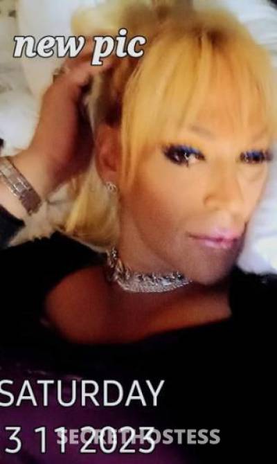 33Yrs Old Escort Virginia Beach VA Image - 1