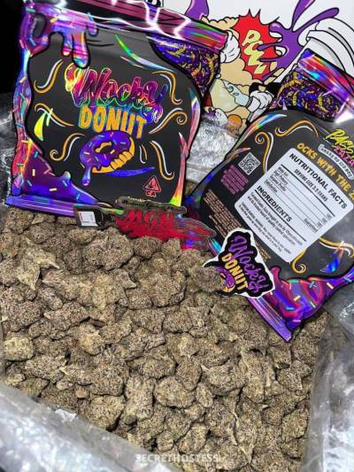 Jeniffa 26Yrs Old Escort Etobicoke Image - 5