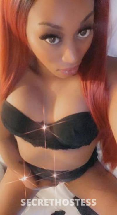 Paris 30Yrs Old Escort Richmond VA Image - 2