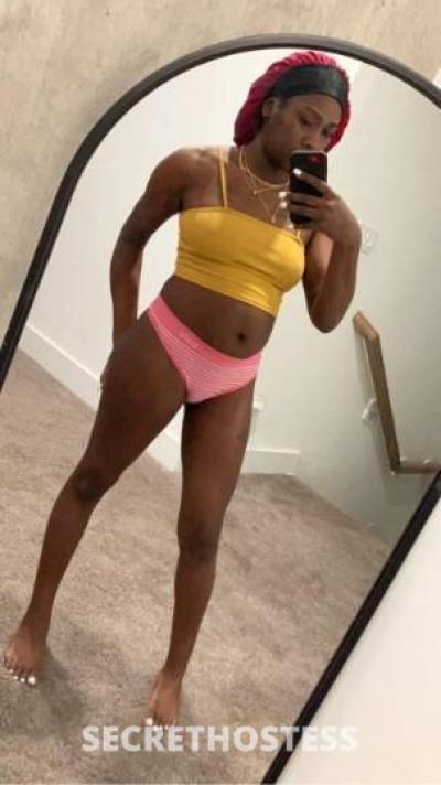 22Yrs Old Escort Dallas TX Image - 1