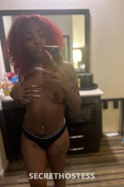 23Yrs Old Escort Houston TX Image - 3