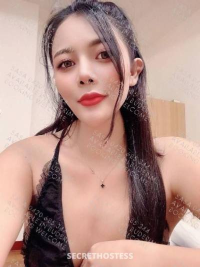 24 year old Escort in Buderim Sunshine Coast Nighttime Temptations Enjoy a Sensual Session with Sasa