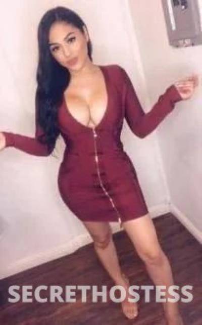 24 year old Escort in Hurstville Sydney Party animal let's have some fun time togethe Pron star