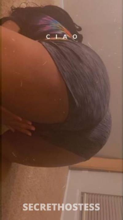 25Yrs Old Escort Dallas TX Image - 1