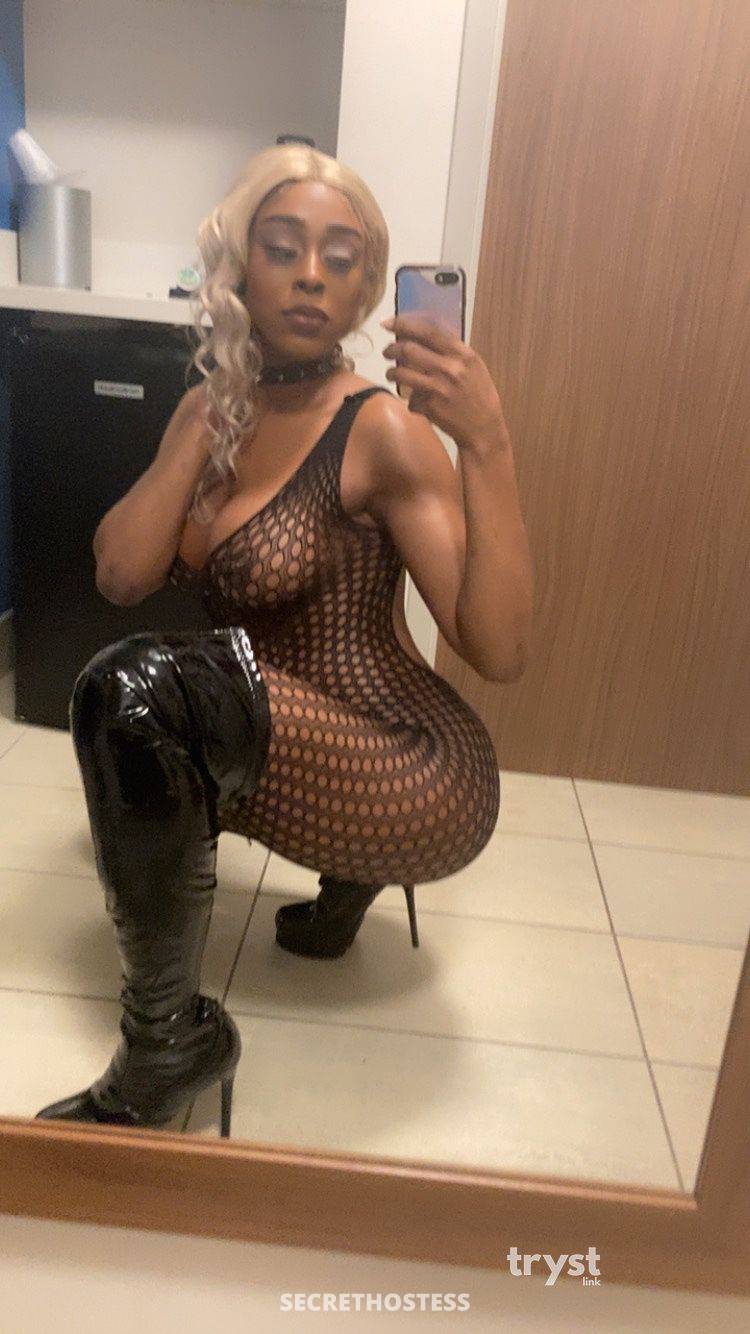 20Yrs Old Escort Size 10 170CM Tall Vancouver WA Image - 13