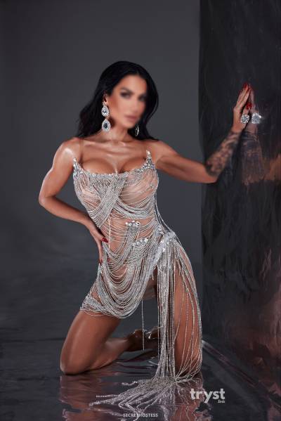 30Yrs Old Escort Size 8 166CM Tall Washington DC Image - 11