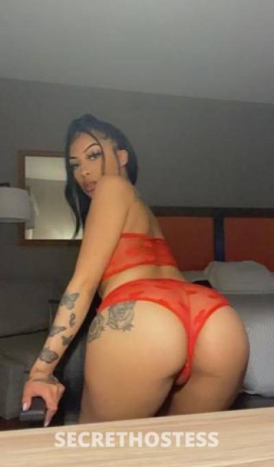 24 Year Old Latino Escort Phoenix AZ - Image 3