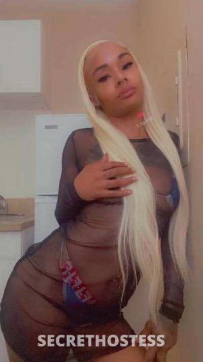 25Yrs Old Escort Tampa FL Image - 2