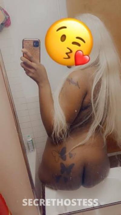 23Yrs Old Escort Bronx NY Image - 0