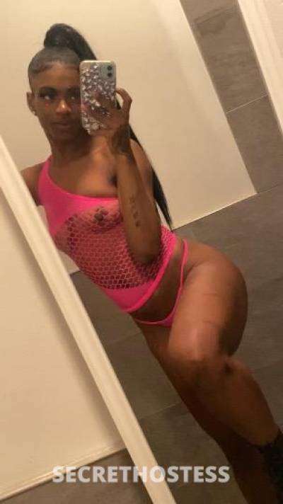 27Yrs Old Escort 167CM Tall Bronx NY Image - 1