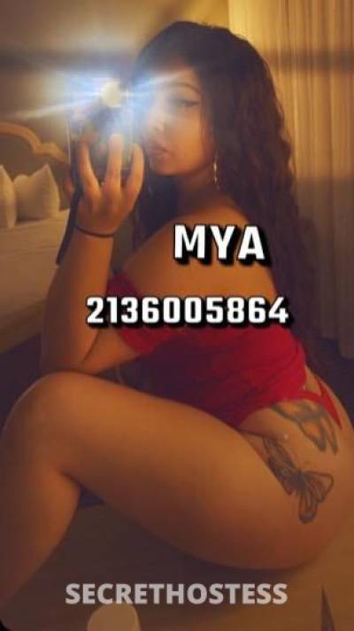 25Yrs Old Escort Modesto CA Image - 0