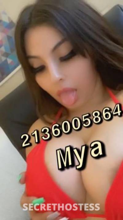 25Yrs Old Escort Modesto CA Image - 1