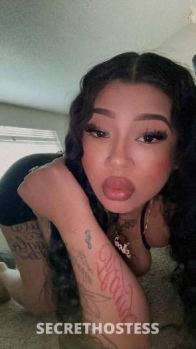 25 year old Latino Escort in San Diego CA Sexxy latina dont miss out daddy facetime shows