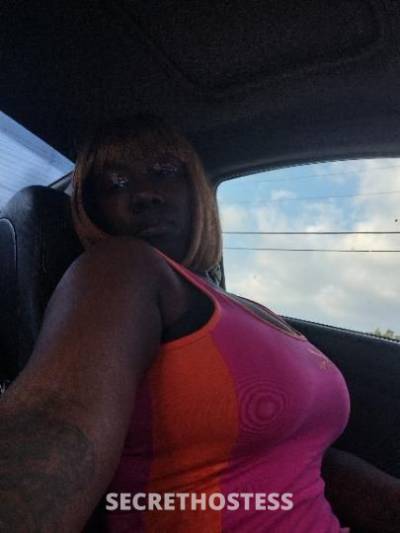 27Yrs Old Escort New Orleans LA Image - 0