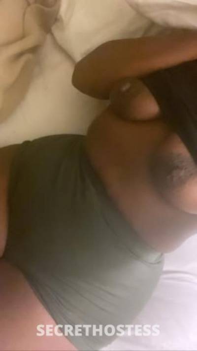 28Yrs Old Escort New Orleans LA Image - 2