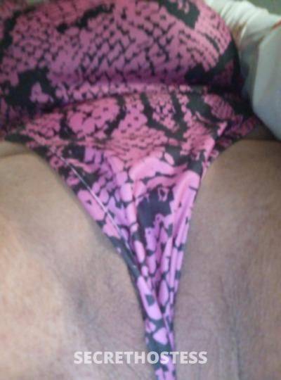 46Yrs Old Escort West Palm Beach FL Image - 0