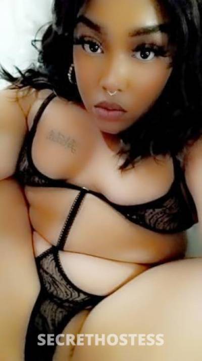 24Yrs Old Escort Bronx NY Image - 2