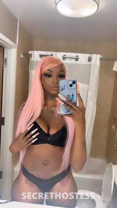 26Yrs Old Escort Rochester NY Image - 2