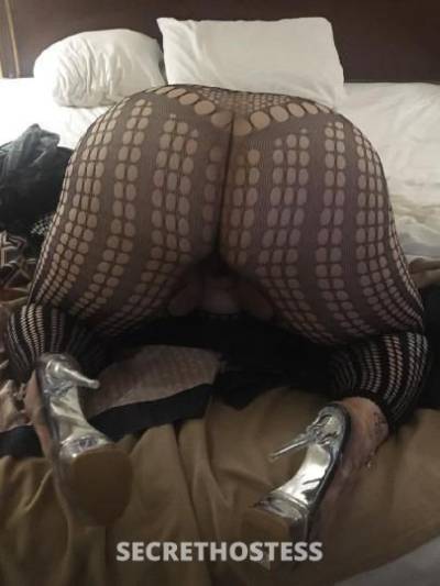 31 year old Escort in Charlotte NC Best in Town Ready NOW