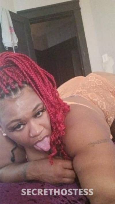 29Yrs Old Escort 165CM Tall Milwaukee WI Image - 0