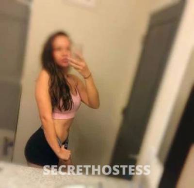 Rosie 27Yrs Old Escort Size 8 Rockhampton Image - 5