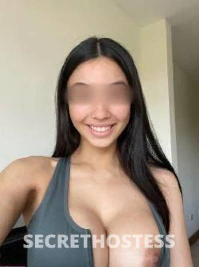 Tracy 24Yrs Old Escort Canberra Image - 5