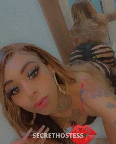 25Yrs Old Escort Sacramento CA Image - 1