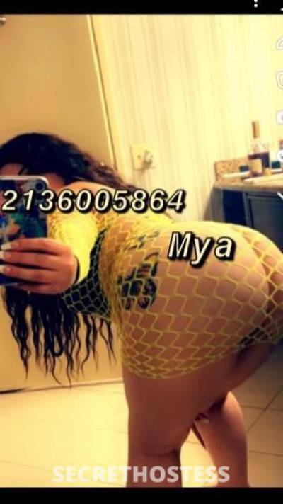25 year old Latino Escort in Bakersfield CA Rica y Apretadita Latina