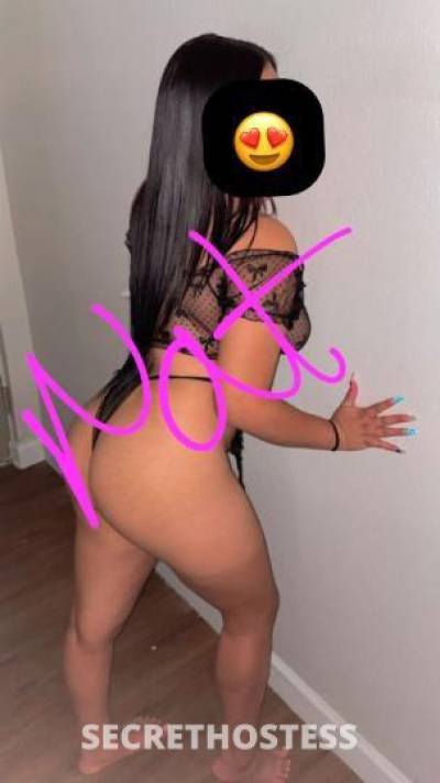 23Yrs Old Escort Sarasota FL Image - 2