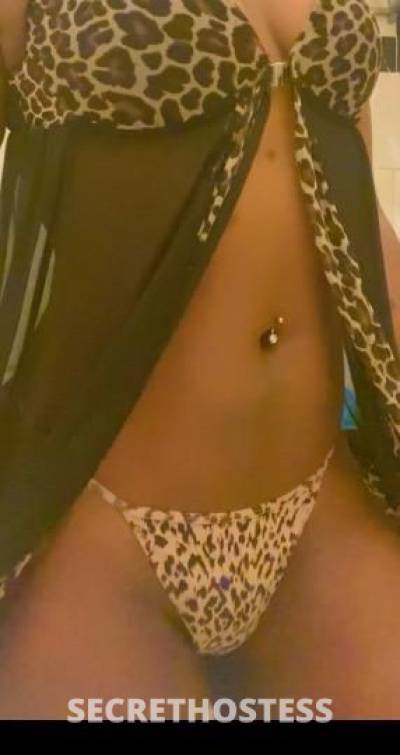 23Yrs Old Escort Worcester MA Image - 2