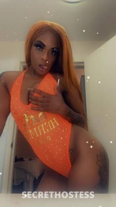 24Yrs Old Escort Chicago IL Image - 3