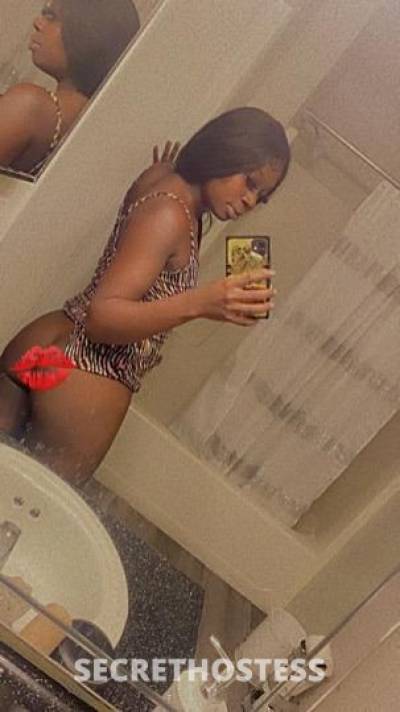 24Yrs Old Escort Jacksonville FL Image - 0