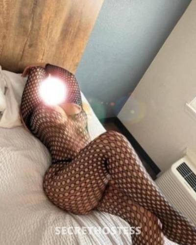 27Yrs Old Escort Fort Lauderdale FL Image - 1