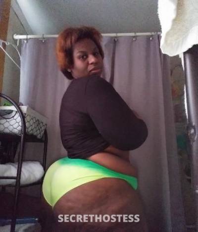 29Yrs Old Escort South Coast MA Image - 1