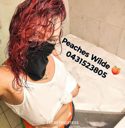 37Yrs Old Escort Melbourne Image - 1