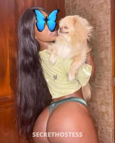 Adriana 31Yrs Old Escort Cincinnati OH Image - 2