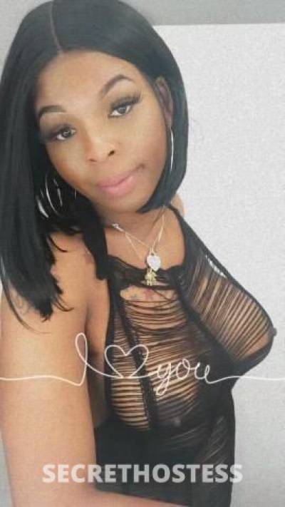 Camila 25Yrs Old Escort Fort Myers FL Image - 0