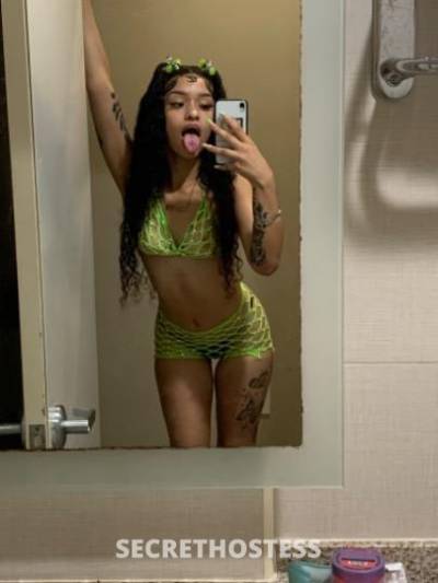 20Yrs Old Escort Dallas TX Image - 3