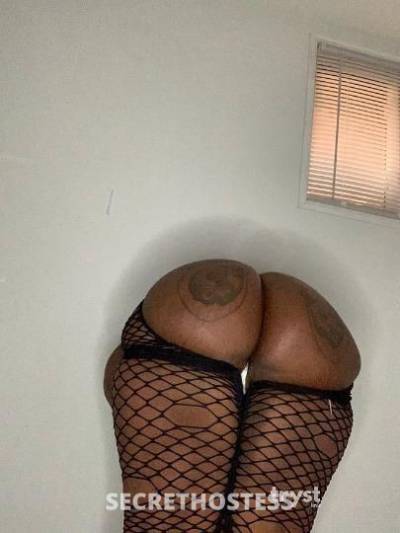 22Yrs Old Escort Size 6 Norfolk VA Image - 2