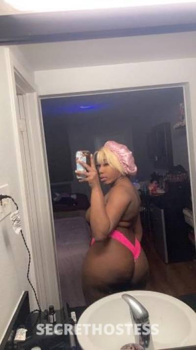 Mia 25Yrs Old Escort Brown Eyes Dallas TX in Dallas TX