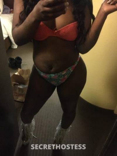 24 year old Caribbean Escort in Los Angeles CA Funsize Caribbean Barbie Upscale Service