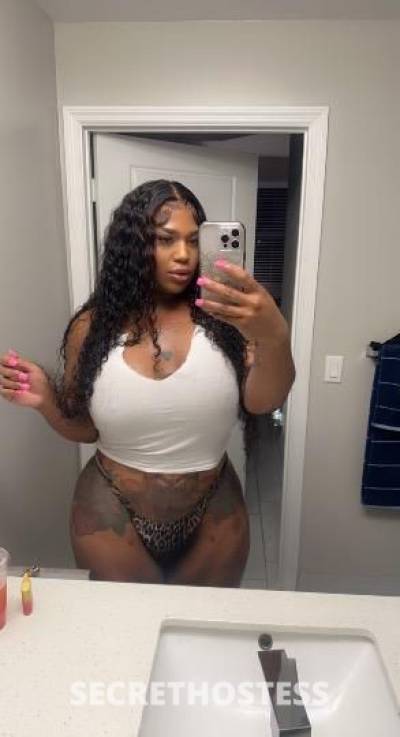 28Yrs Old Escort Tallahassee FL Image - 1