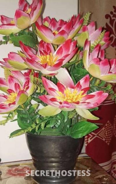 37 year old Escort in Bakersfield CA Hallo mood off here