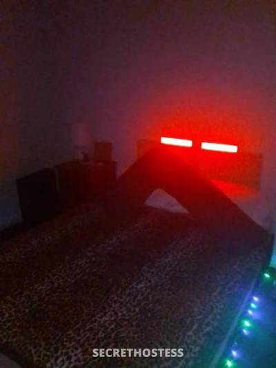 45 year old Escort in Hamilton Newcastle Want to earn over 3500 aweek